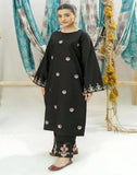 LAWN 2PC Embroidered