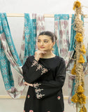 LAWN 2PC Embroidered